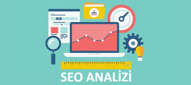 Seo Analizi